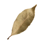 dokuwiki-128.png