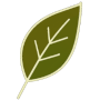 apple-touch-icon.png