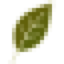 favicon-16x16.png