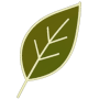 sbl.png